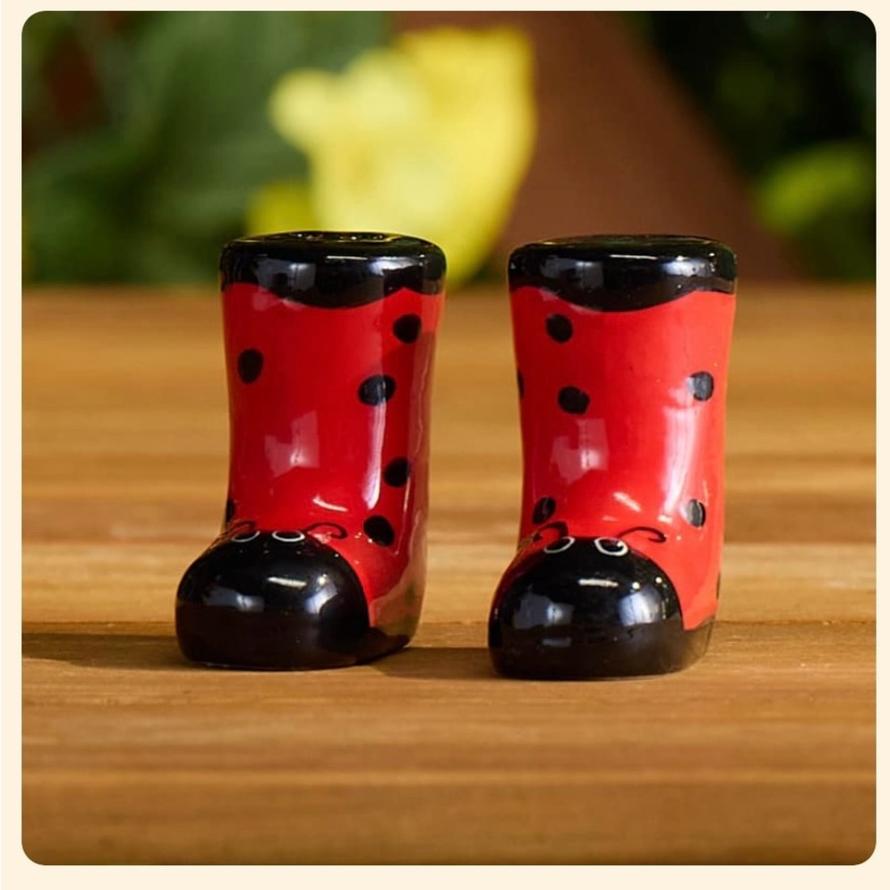 Cracker Barrel Ladybug Boot Salt and Pepper Shakers